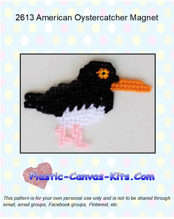 American Oystercatcher Magnet