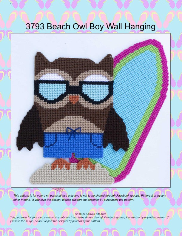 Beach Owl Boy Wall Hanging