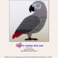African Grey Parrot Wall Hanging