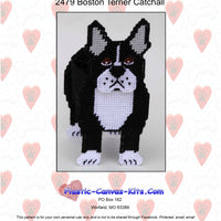 Boston Terrier Catchall