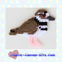 Killdeer Magnet